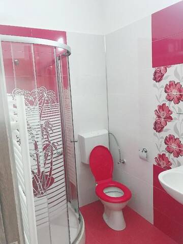 Фотографии Апарт-отели Studio MIHA г. Mahalaua Botorogi (Румыния) №3 Фото Апарт-отели Studio MIHA г. Mahalaua Botorogi 3