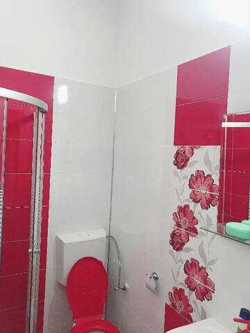 Фото номера Номер-студио Апарт-отели Studio MIHA г. Mahalaua Botorogi 3